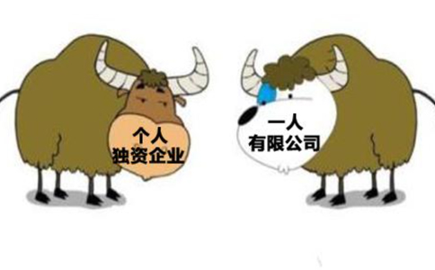 個(gè)人獨(dú)資企業(yè)與一人有限公司區(qū)別