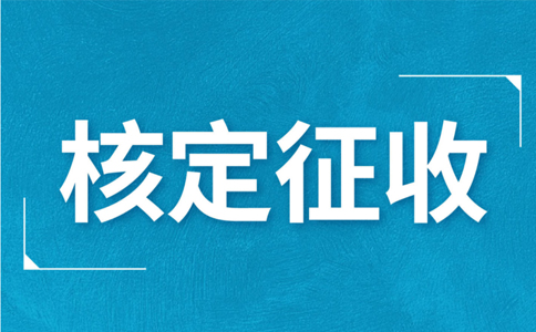 江西大額個(gè)體戶核定征收標(biāo)準(zhǔn)，2024年最新政策