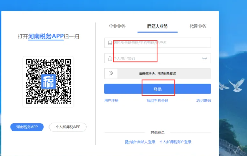 河南稅務(wù)用“自然人業(yè)務(wù)”登錄